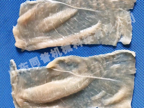 雞胸肉切片機廠家